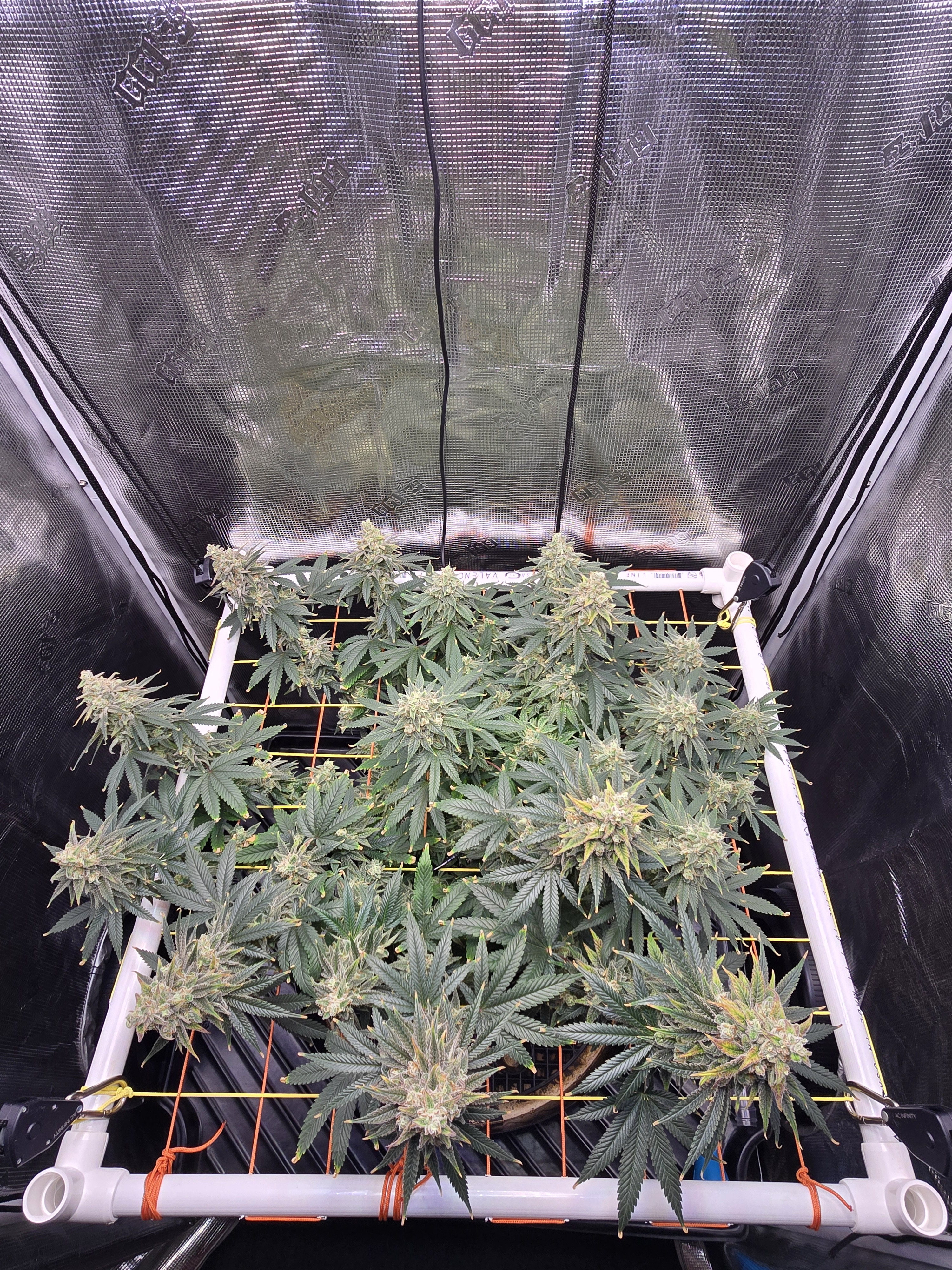 Click image for larger version

Name:	20260310_061058.jpg
Views:	8
Size:	4.22 MB
ID:	663741