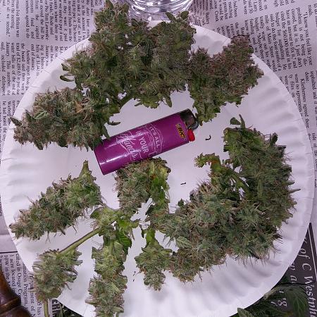 Click image for larger version

Name:	20170220_090121.jpg
Views:	174
Size:	6.00 MB
ID:	58852