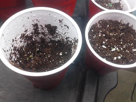 Click image for larger version

Name:	20171102_081829.jpg
Views:	232
Size:	918.9 KB
ID:	141629