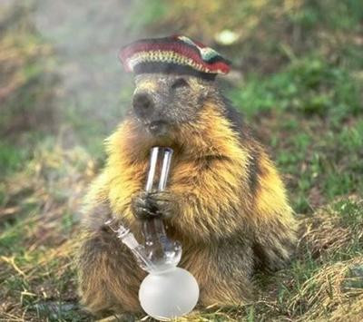 Click image for larger version

Name:	c39k8uobjta11 (1) (1).jpg
Views:	0
Size:	47.0 KB
ID:	663827