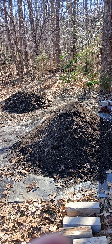 Click image for larger version

Name:	20260310_154910.jpg
Views:	34
Size:	3.45 MB
ID:	663871