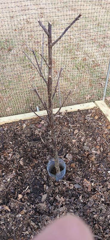 Click image for larger version

Name:	20260307_144922.jpg
Views:	33
Size:	3.94 MB
ID:	663874