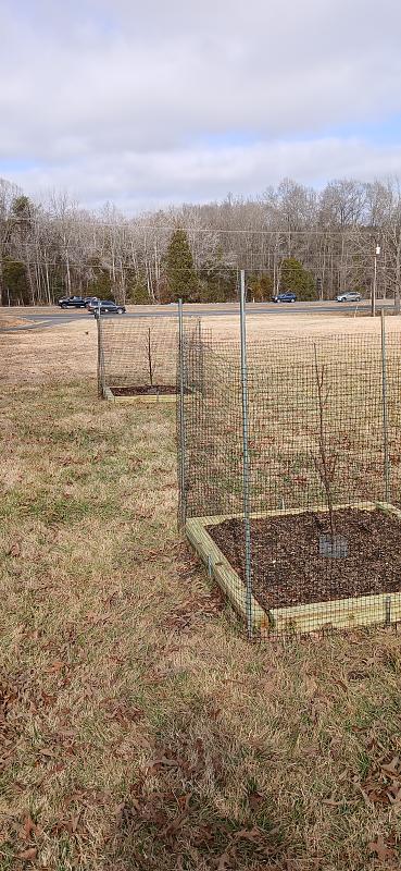 Click image for larger version

Name:	20260307_144907.jpg
Views:	32
Size:	3.51 MB
ID:	663875