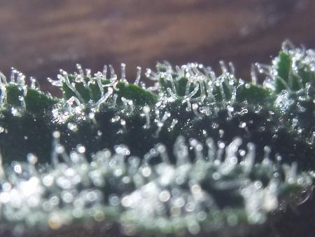 Click image for larger version

Name:	20190114_071800.jpg
Views:	251
Size:	1.66 MB
ID:	283968