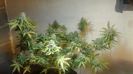 Click image for larger version

Name:	20181217_203758.jpg
Views:	290
Size:	569.2 KB
ID:	276784