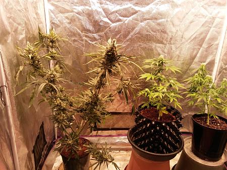 Click image for larger version

Name:	20190119_192149.jpg
Views:	200
Size:	4.58 MB
ID:	285275