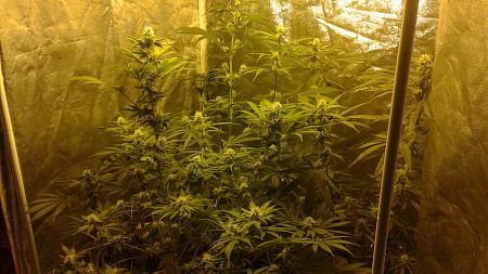 Click image for larger version

Name:	20181217_203850.jpg
Views:	251
Size:	901.9 KB
ID:	276787