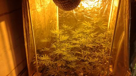 Click image for larger version

Name:	20181208_190849.jpg
Views:	253
Size:	798.1 KB
ID:	274725