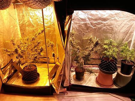 Click image for larger version

Name:	20190119_192238.jpg
Views:	234
Size:	3.80 MB
ID:	285277