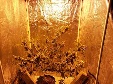 Click image for larger version

Name:	20190119_192117.jpg
Views:	235
Size:	5.03 MB
ID:	285278