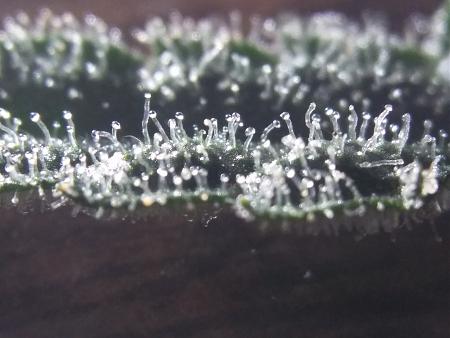 Click image for larger version

Name:	20190114_071754.jpg
Views:	240
Size:	1.57 MB
ID:	283965