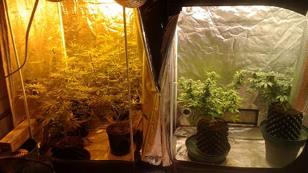 Click image for larger version

Name:	20181208_190838.jpg
Views:	266
Size:	806.5 KB
ID:	274724