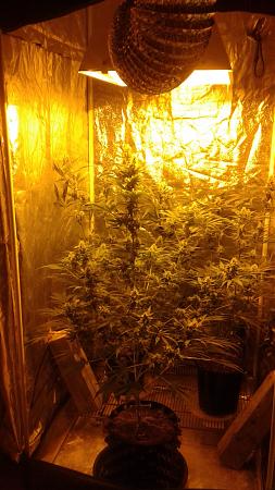 Click image for larger version

Name:	20181223_071023.jpg
Views:	236
Size:	763.6 KB
ID:	278310