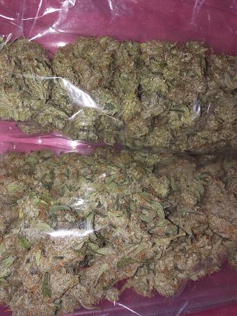 Click image for larger version

Name:	20190129_064653.jpg
Views:	216
Size:	3.89 MB
ID:	287613