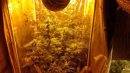 Click image for larger version

Name:	20181223_071030.jpg
Views:	237
Size:	910.9 KB
ID:	278312