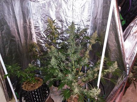 Click image for larger version

Name:	20190109_071623.jpg
Views:	228
Size:	3.03 MB
ID:	283161