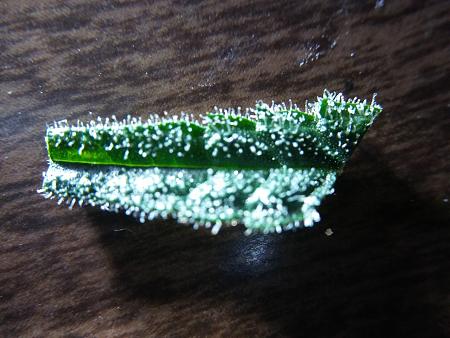 Click image for larger version

Name:	20190114_071736.jpg
Views:	225
Size:	2.09 MB
ID:	283967