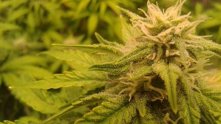 Click image for larger version

Name:	20181208_190920.jpg
Views:	245
Size:	641.8 KB
ID:	274727