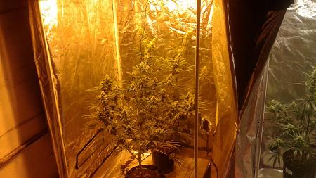 Click image for larger version

Name:	20181228_204550.jpg
Views:	240
Size:	774.3 KB
ID:	279749