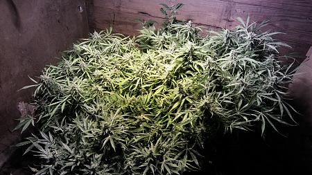 Click image for larger version

Name:	20170427_072607.jpg
Views:	263
Size:	6.61 MB
ID:	85190