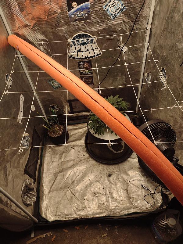 Click image for larger version

Name:	IMG_20260314_161132589.jpg
Views:	7
Size:	3.69 MB
ID:	663934