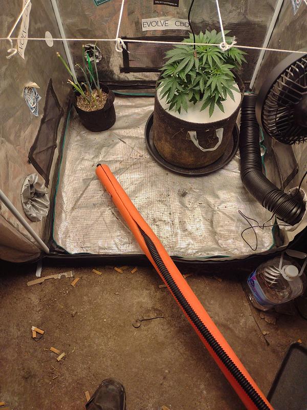 Click image for larger version

Name:	IMG_20260314_160938561.jpg
Views:	7
Size:	3.96 MB
ID:	663935