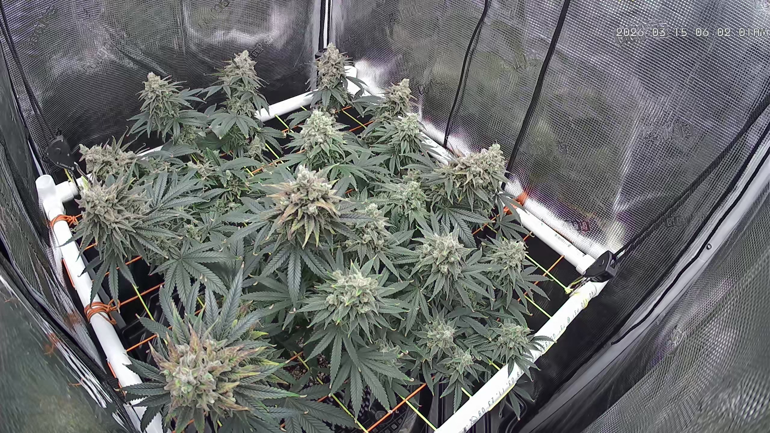 Click image for larger version

Name:	2026-03-15.jpg
Views:	6
Size:	1.47 MB
ID:	663940