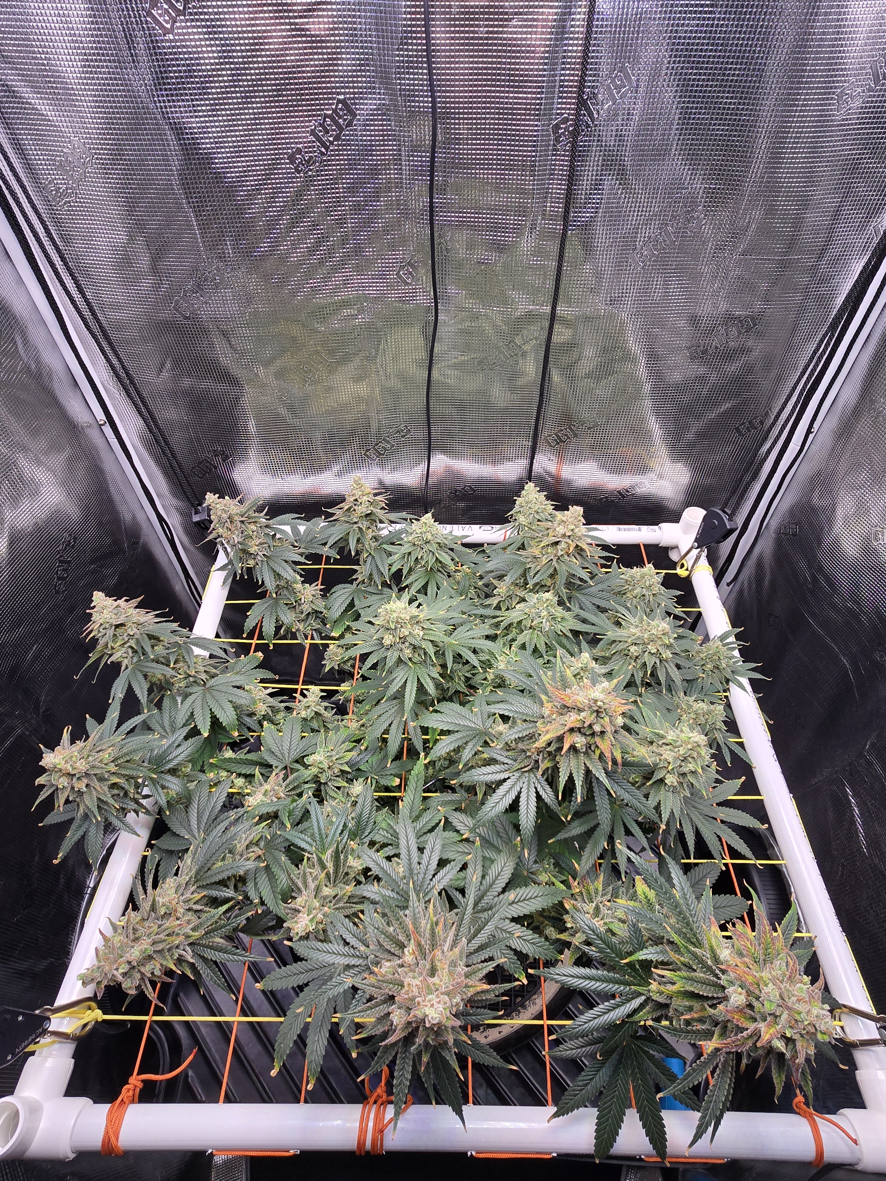 Click image for larger version

Name:	20260315_111552.jpg
Views:	6
Size:	4.63 MB
ID:	663941