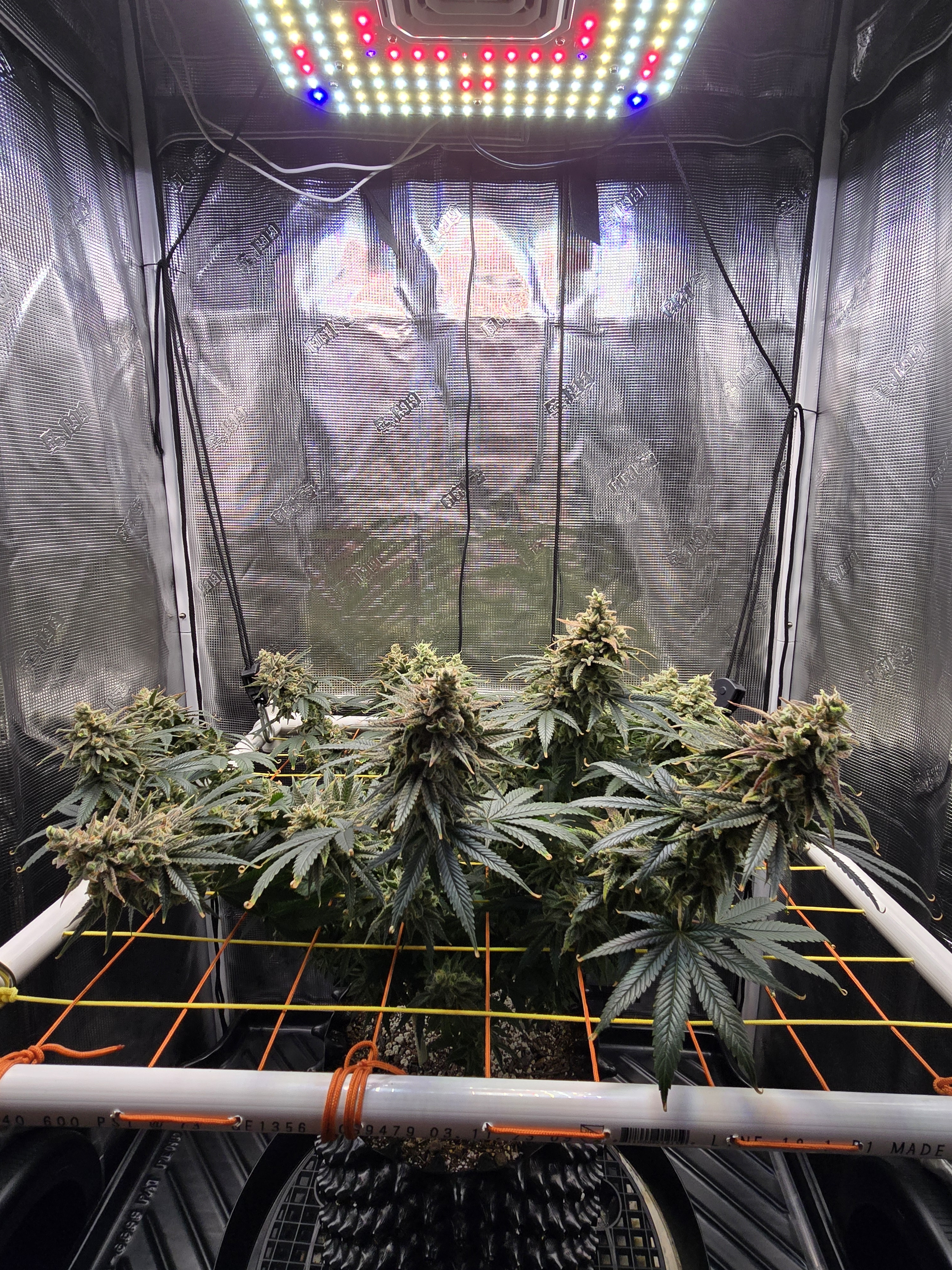 Click image for larger version

Name:	20260315_111614.jpg
Views:	6
Size:	3.96 MB
ID:	663942