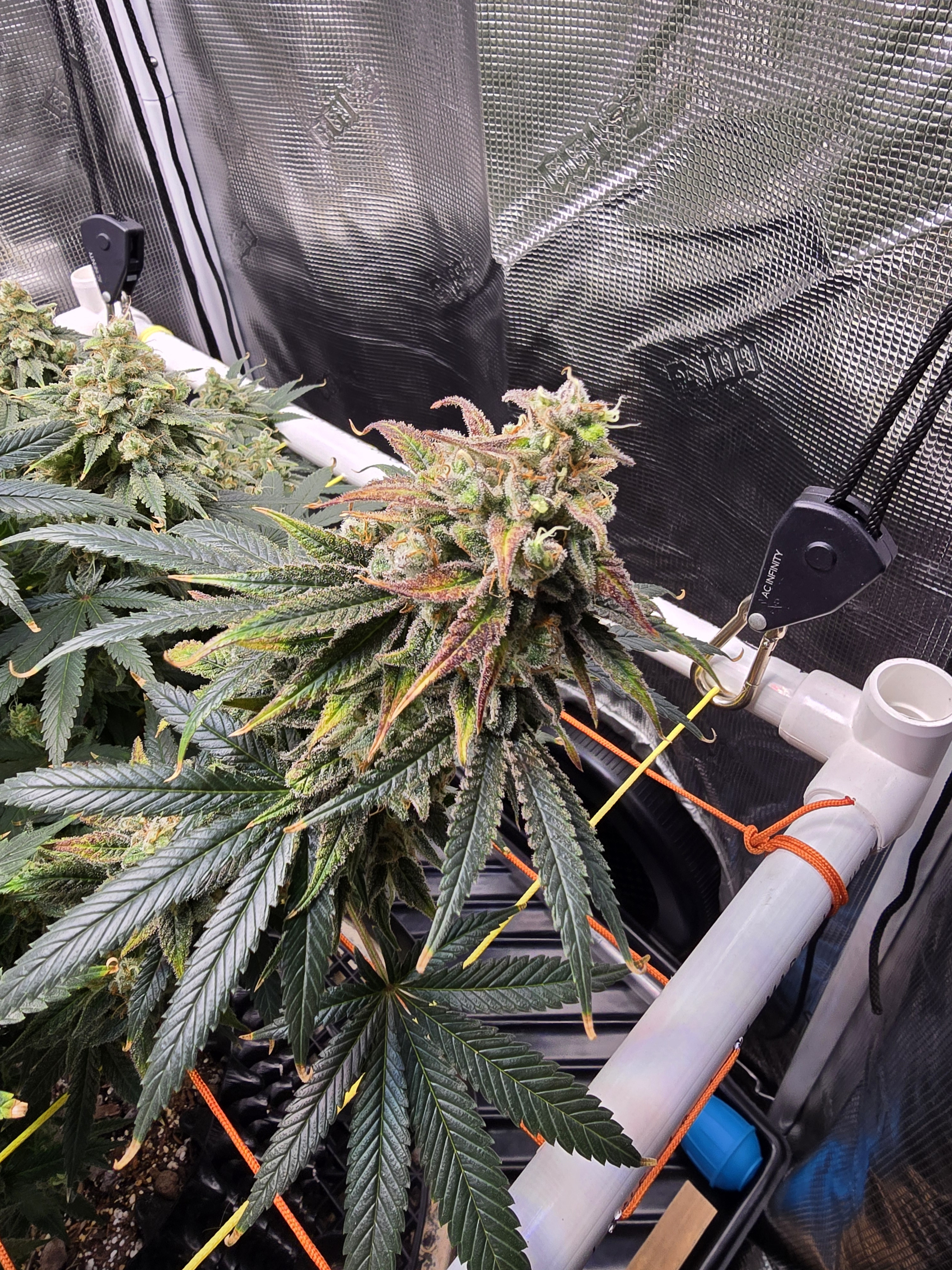 Click image for larger version

Name:	20260315_111208.jpg
Views:	6
Size:	3.39 MB
ID:	663943