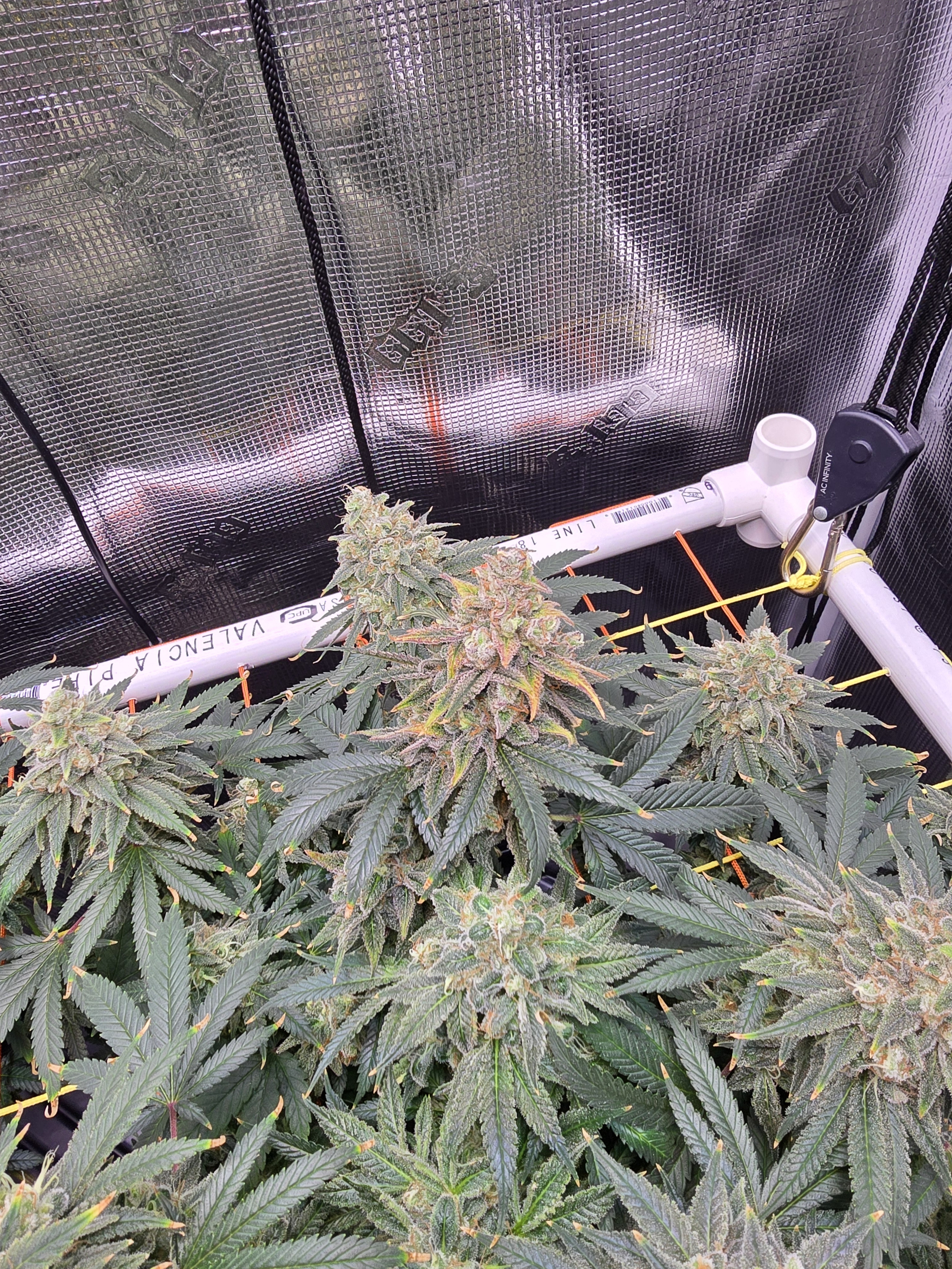 Click image for larger version

Name:	20260315_111230.jpg
Views:	6
Size:	4.03 MB
ID:	663945