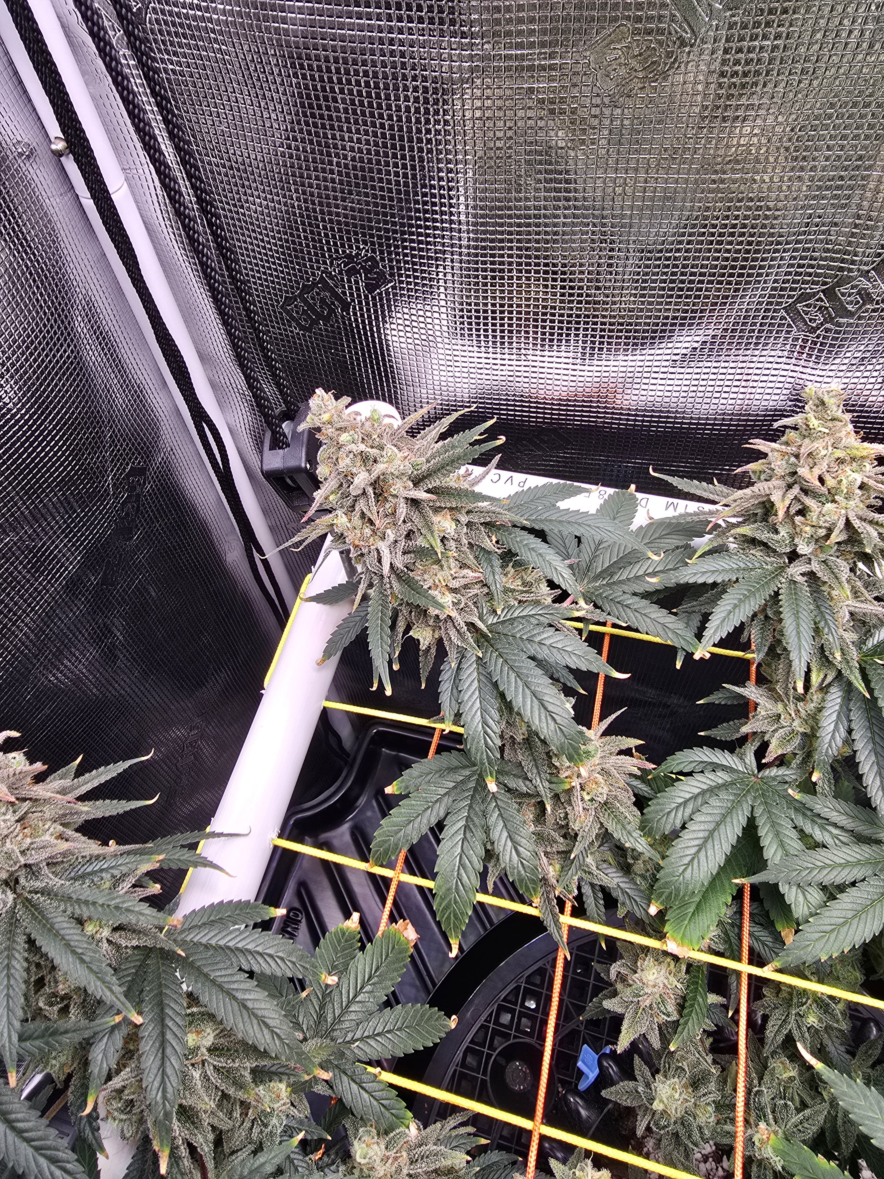 Click image for larger version

Name:	20260315_111240.jpg
Views:	4
Size:	4.91 MB
ID:	663948