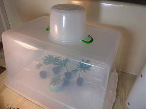 Click image for larger version

Name:	20180928_084527.jpg
Views:	274
Size:	1.68 MB
ID:	253264