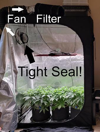 Click image for larger version  Name:	fan-filter-outside-cannabis-grow-tent-exhaust-alternative.jpg Views:	0 Size:	294.7 KB ID:	664044
