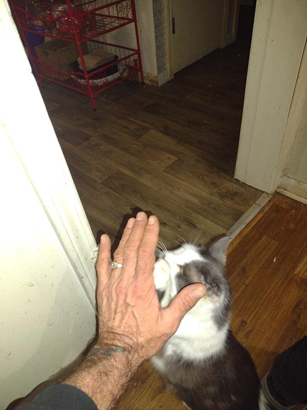 Click image for larger version

Name:	IMG_20260316_210006978.jpg
Views:	0
Size:	2.96 MB
ID:	664073