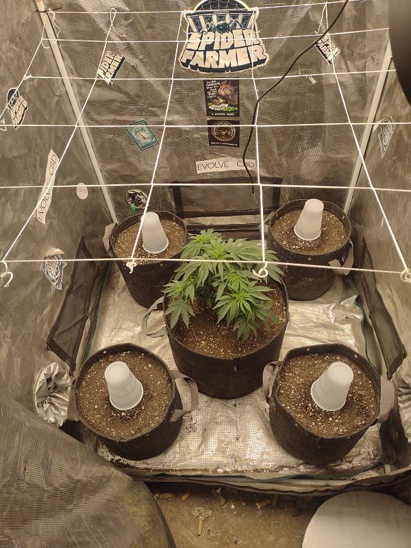 Click image for larger version

Name:	IMG_20260317_073501264.jpg
Views:	31
Size:	4.15 MB
ID:	664078