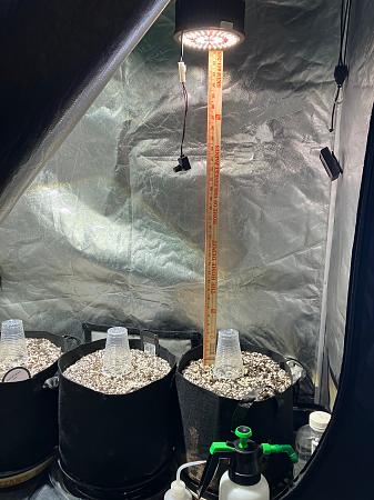 Click image for larger version  Name:	image2.jpg Views:	1 Size:	1.07 MB ID:	664099