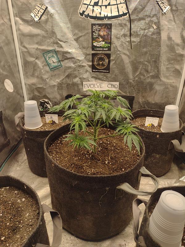 Click image for larger version

Name:	IMG_20260318_103123683.jpg
Views:	11
Size:	3.97 MB
ID:	664104