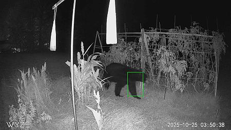 Click image for larger version

Name:	1761378637367_80482C40220D011761378637.jpg
Views:	10
Size:	409.0 KB
ID:	664118