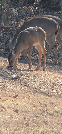 Click image for larger version

Name:	20260227_143317.jpg
Views:	9
Size:	1.21 MB
ID:	664107