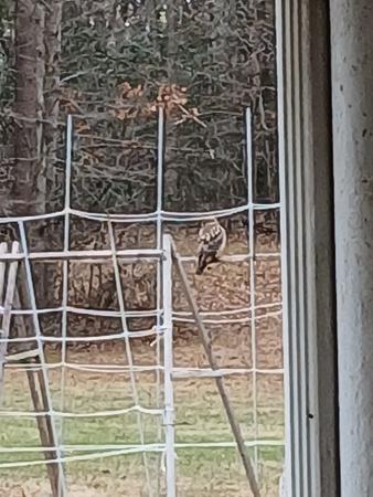 Click image for larger version

Name:	20251231_151927.jpg
Views:	9
Size:	1.29 MB
ID:	664108