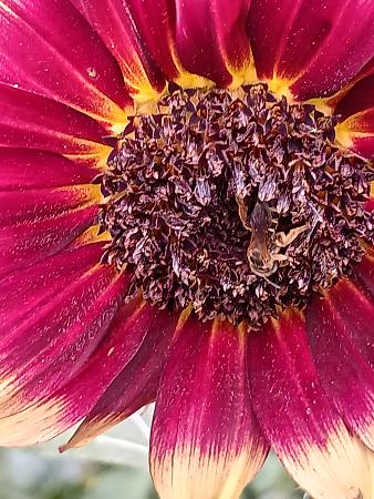 Click image for larger version

Name:	20250805_103515.jpg
Views:	9
Size:	2.15 MB
ID:	664117