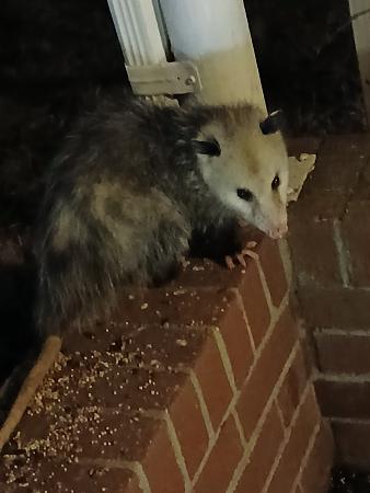 Click image for larger version

Name:	20250213_220346.jpg
Views:	9
Size:	1.01 MB
ID:	664116