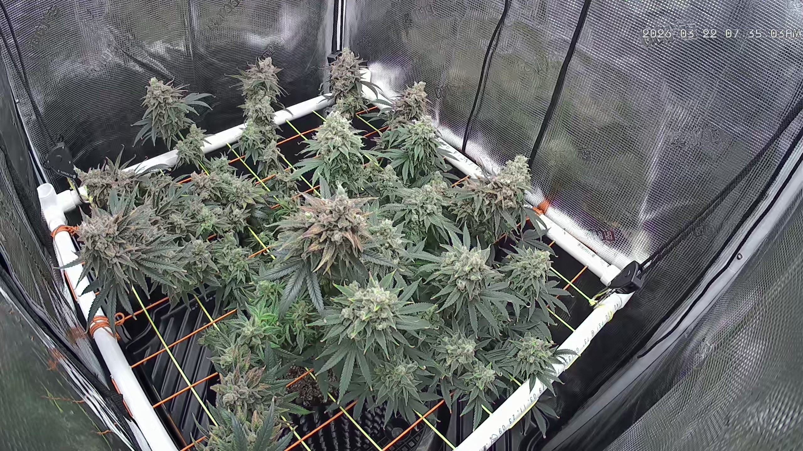 Click image for larger version

Name:	2026-03-22.jpg
Views:	30
Size:	1.43 MB
ID:	664249