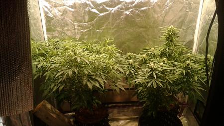 Click image for larger version

Name:	20180824_045951.jpg
Views:	221
Size:	828.4 KB
ID:	240526