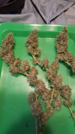 Click image for larger version

Name:	Screenshot_20161124-193300.png
Views:	183
Size:	4.45 MB
ID:	19554