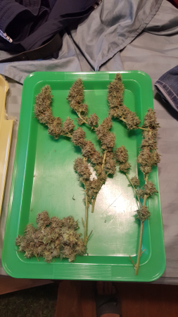 Click image for larger version

Name:	Screenshot_20161124-193233.png
Views:	196
Size:	4.24 MB
ID:	19555