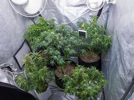 Click image for larger version

Name:	LRM_EXPORT_300130312095337_20190315_195345088.jpeg
Views:	201
Size:	1.13 MB
ID:	298679