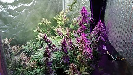 Click image for larger version

Name:	IMG_20180115_174715242.jpg
Views:	255
Size:	1.12 MB
ID:	164503