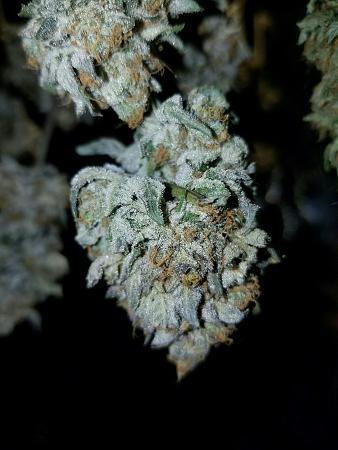 Click image for larger version

Name:	_IMG_000000_000000.jpg
Views:	228
Size:	1.23 MB
ID:	19299